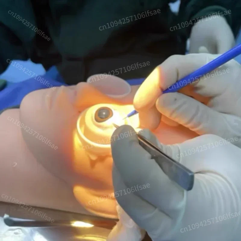 

Ophthalmic Head Simulation Practice Model Eye Simulator Stand for Cataract Capsulorhexis Training&Ophthalmology Study