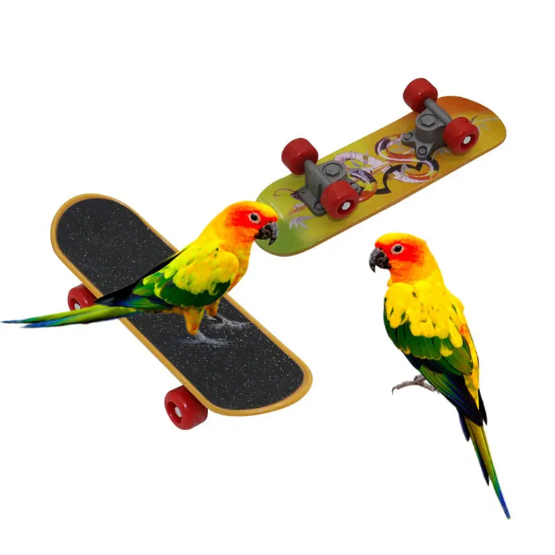 Parrot Mini Scooter Birds Swing Training Skateboard Bird Supplies Accessories Claw Grinding Toy