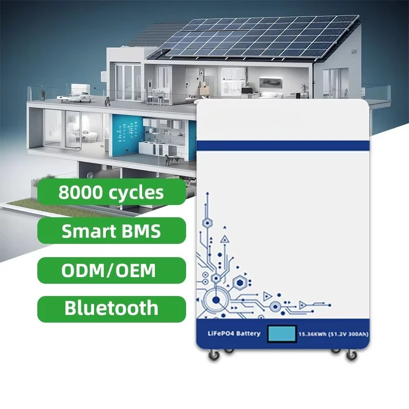 

5.12kWh LiFePO4 All-in-One ESS – 51.2V 100Ah, IP65 Outdoor, CAN Bus for Home Solar & Backup