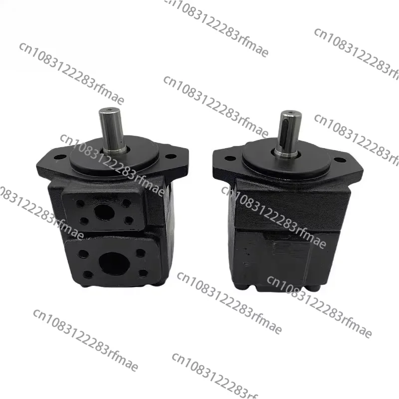 PV2R1- 25/10/12/17/19/23/28/31-F-RAA- 43/42/41 vane pump 1PC