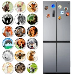 Novelty Animals Fridge Magnet Stickers Glass Dome Tiger Wolf Fox Lion Cute Funny Magnets Office Whiteboard Gadget Home Decor 3CM