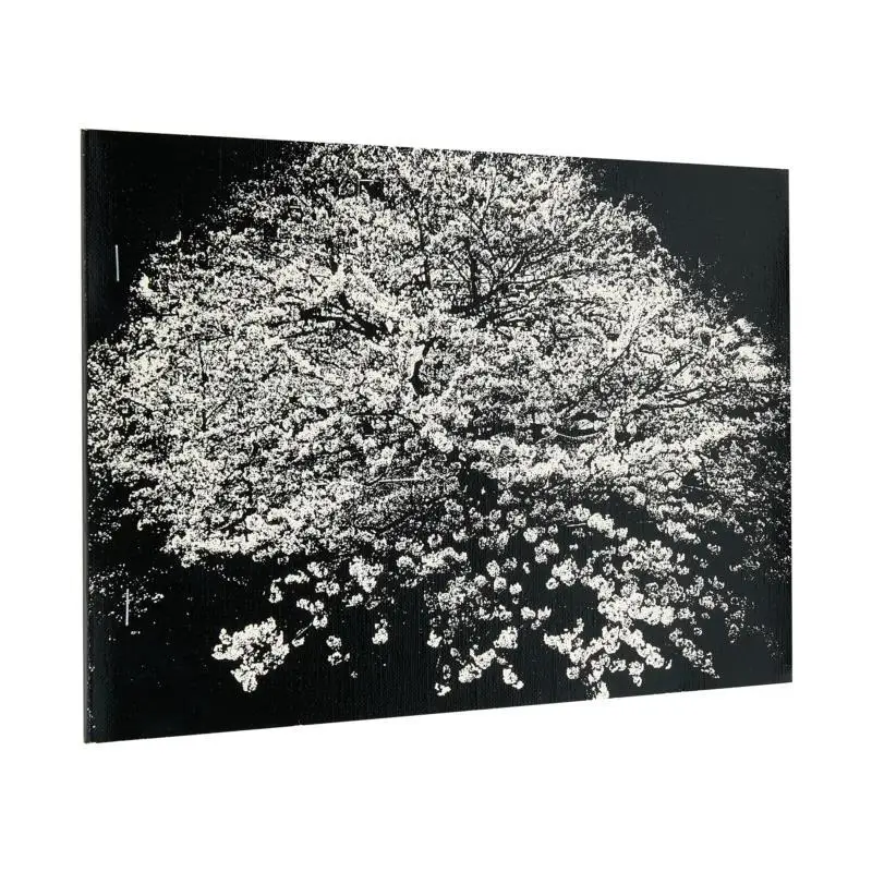 Sign FLOWERS Daido Moriyama Akio Nagasawa Publishing 2222003501539 Book