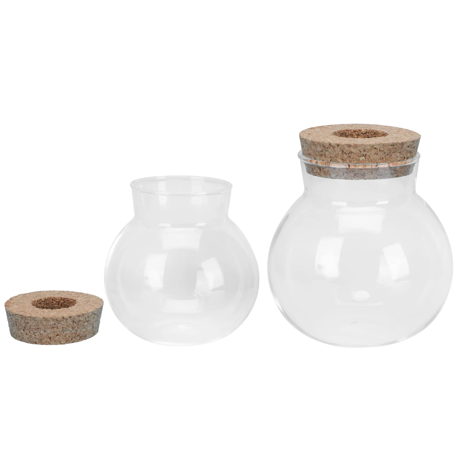 

2Pcs Water Planting Vases Glass Clear Simple Decorative Vase for Flower Arrangement Household Home Decor Floral Adornment