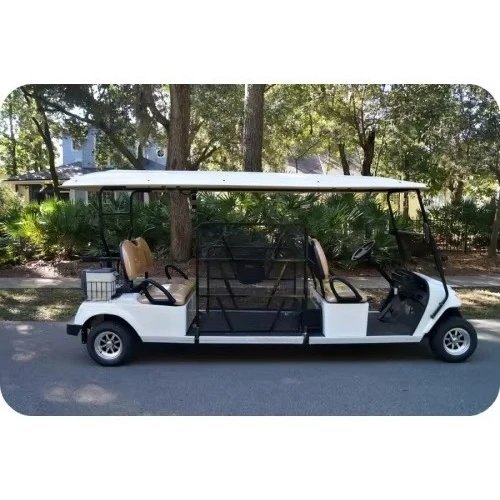 اليد اليمنى محرك أداة كهربائية سيارة إسعاف سرير عربة جولف بارلايت مع مكبر صوت للمعاقين مركبة مساعدة التنقل