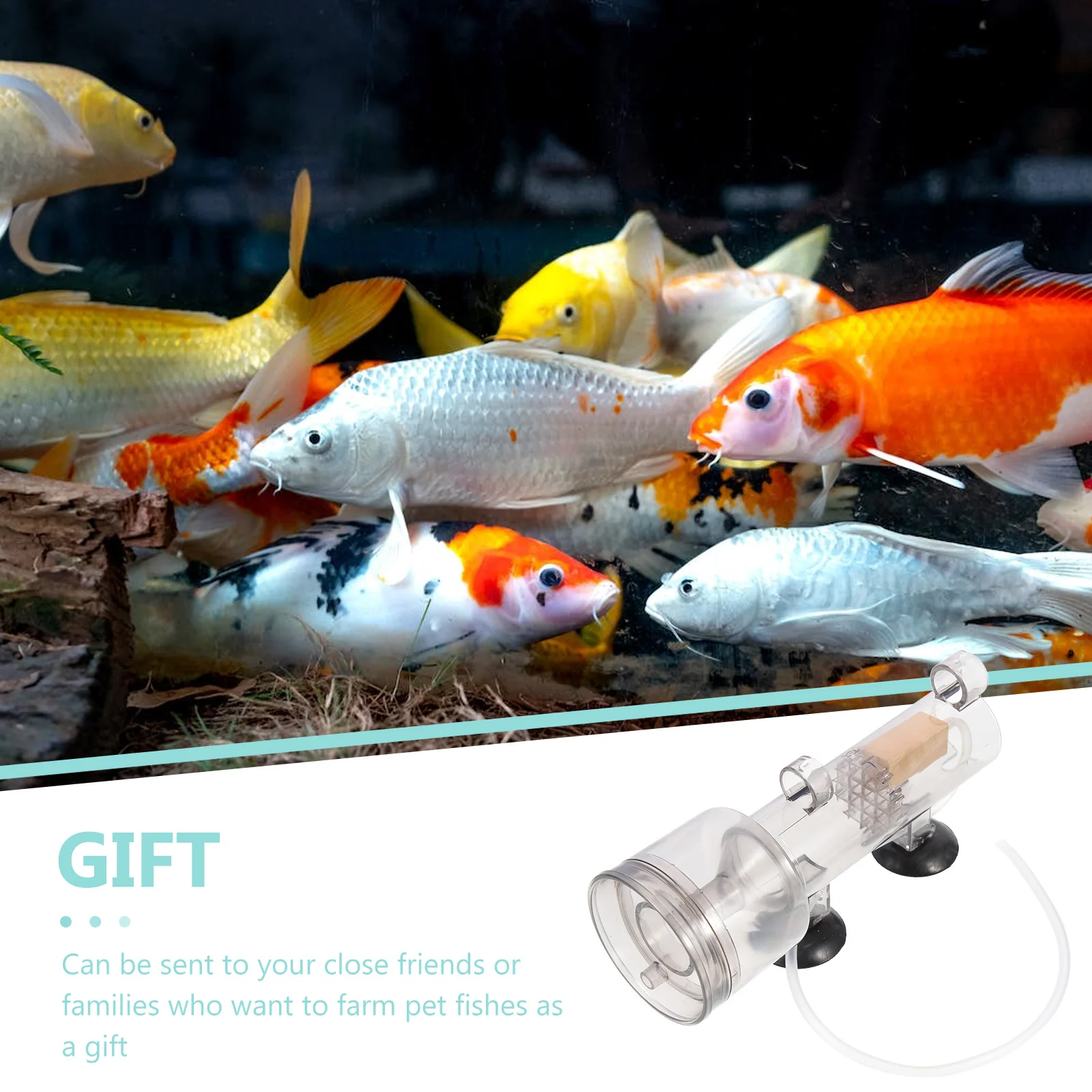 

Fish Tank Protein Skimmer Professional Acrylic Skimmer Durable Saltwater Aquarium Cleaner Sponge Filter Fish Tank Supply