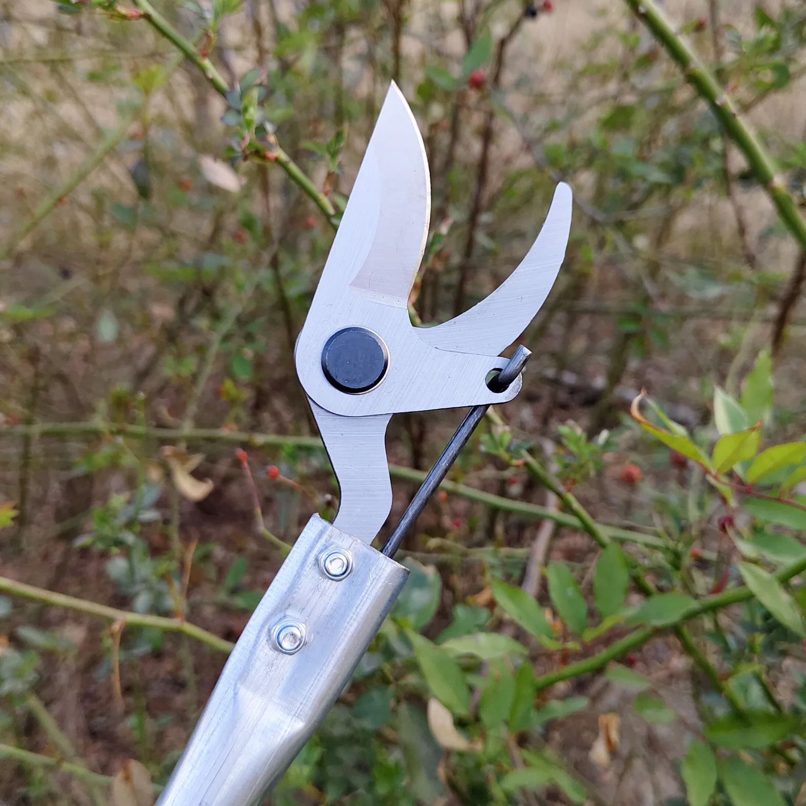 High Branch Pruning Shears 1.5m Long Tree Branch Shears Fruit Tree Tip Shears Made In China
