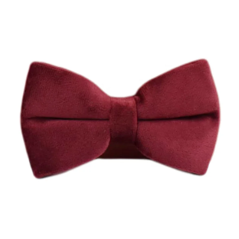 Conjunto de collar y correa de terciopelo para perro con placa_voghion.com