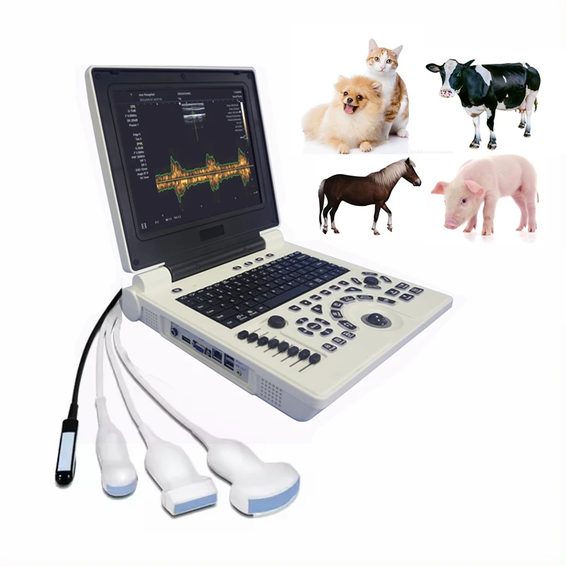 

3D Image 12Inch LED Screen Animal Veterinary Notebook Pregnancy Vet Pet Use Ultrasound Scanner Machine