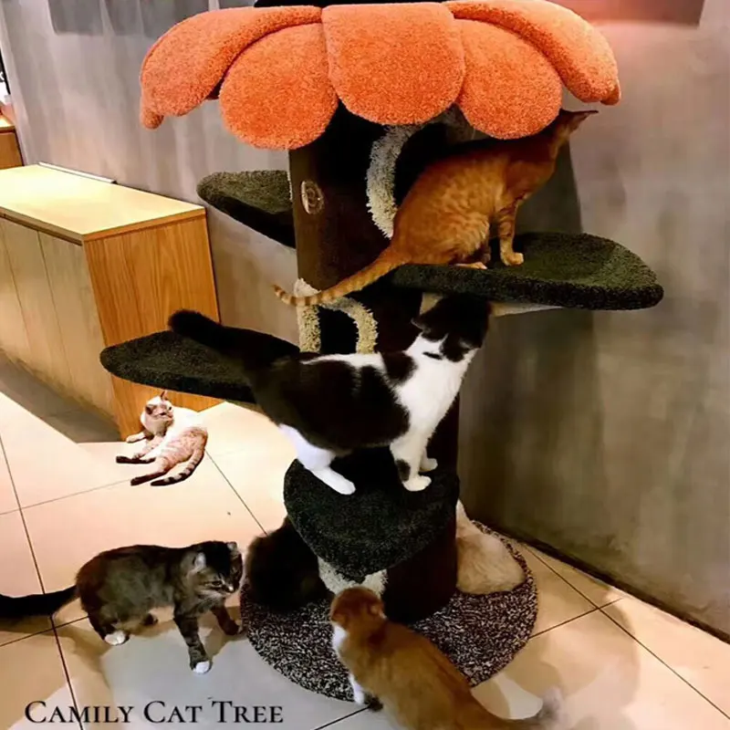 Cat Climbing Frame Sunflower Cat Tree Cat Castle Cat Tree Cat Tree Cat Nest