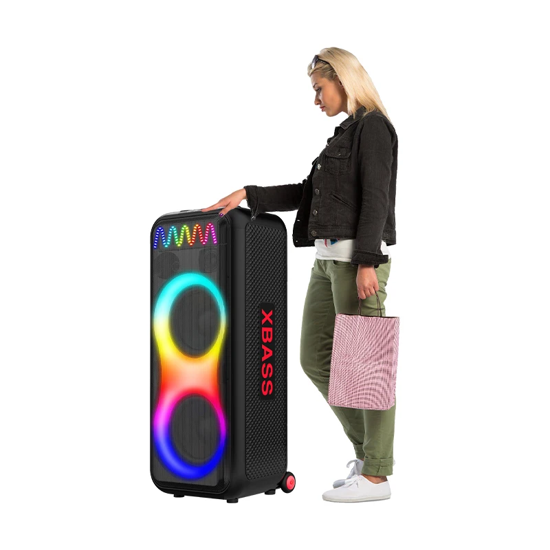 Big TWS  Speaker Dual 10 Inch Party Speaker With Wireless Microphone Dazzling Lights