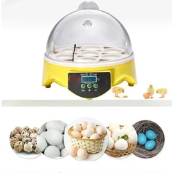 7 Eggs Capacity Incubator Brood Machine Mini Egg Incubator Chicken Duck Egg Hatcher Electronic Automatic Incubator Brooder Tools