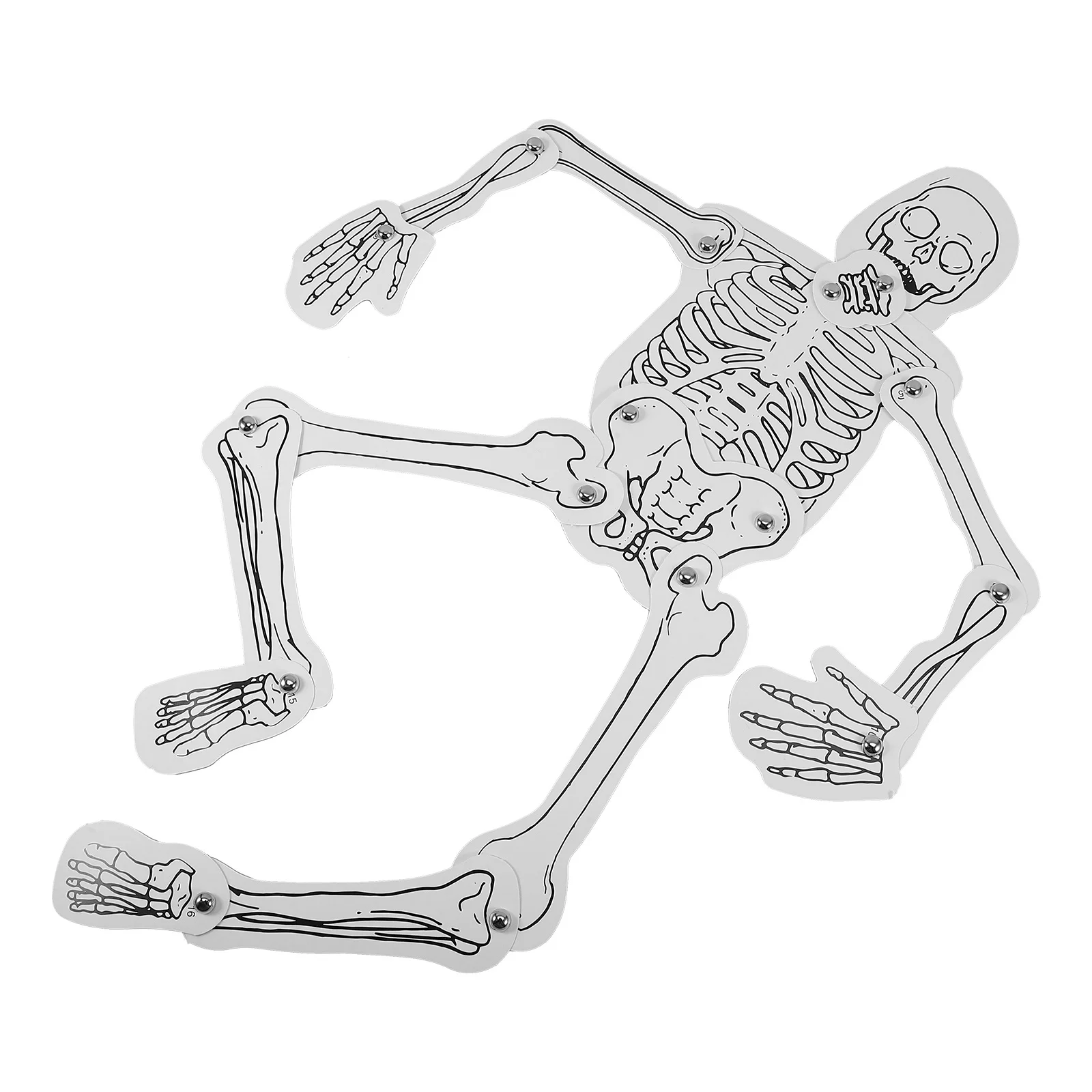 

1 Bag Diy Human Educational Science Kit Classroom Teaching Aid Bone Structure Assembly Set For Students