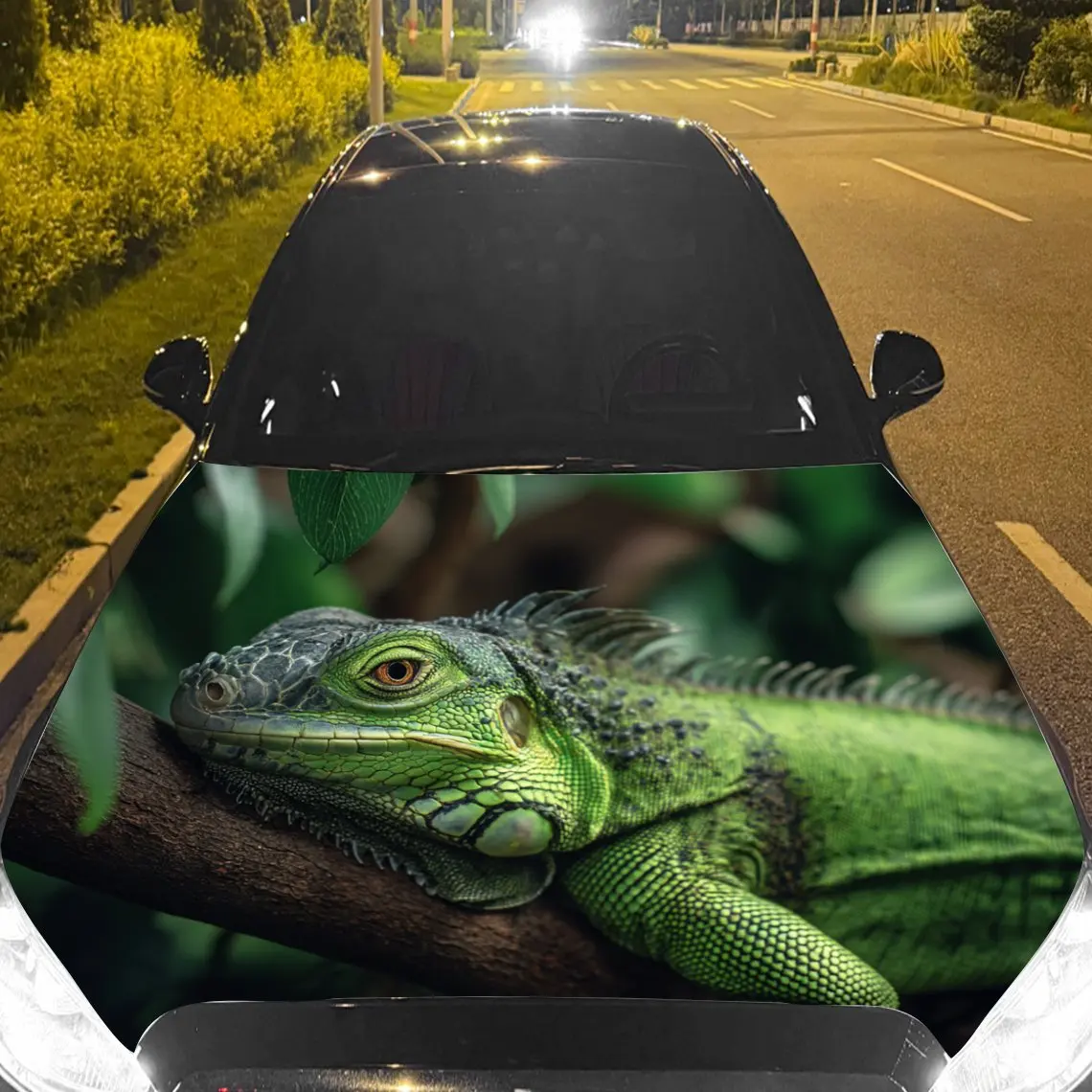 Car Decals Green Iguana on Branch in Tropical Setting Car Hood Sticker, Waterproof Self - Adhesive Vinyl Graphics Decals, Decora
