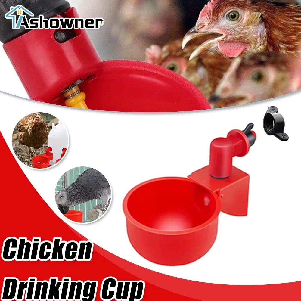 

Poultry Drinking Cup Automatic Waterer for Chickens Chicken Feeder Plastic Poultry Waterer Chicken Duck Goose Quail Waterer