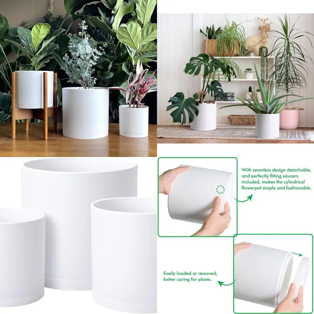 

Набор из 3 пластиковых кашпо D'vine Dev, 6.5, 8, 10 дюймов, белые, с дренажом и поддонами, большие