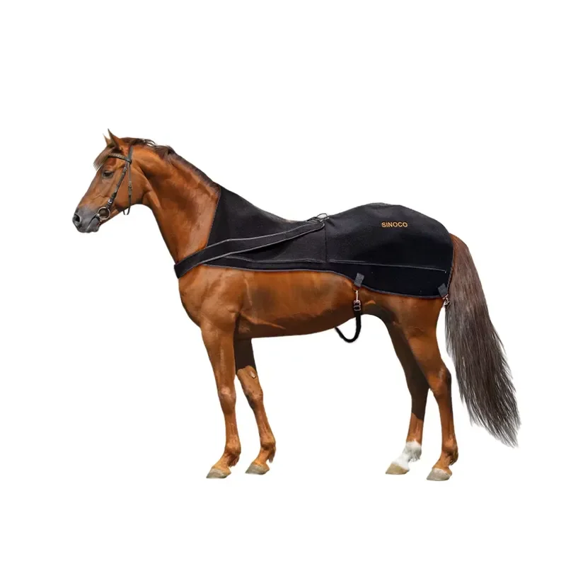 Professional Red Light Therapy Device for Horse Back Pain Non-Invasive Comfort Therapy for Equine Muscles Led Light Therapy view 2