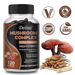 Energy Mushroom Capsules - Lion's Mane Mushroom Cordyceps Sinensis Reishi - Brain Supplement, Immune Energy Mood Stress Support