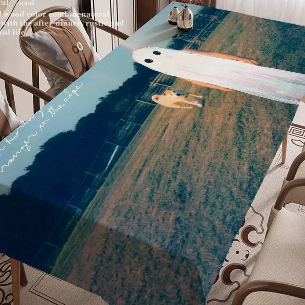 Phoebe Bridgers Music Rectangle Tablecloth Table Decor Reusable Waterproof Kitchen Dining Table Cloth Holiday Party Decoration