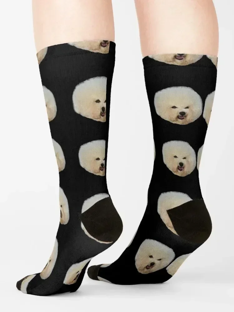 Calcetines para perros Bichon Frise muy hermosos, medias antideslizantes sueltas en movimiento, calcetines para mujer y hombre