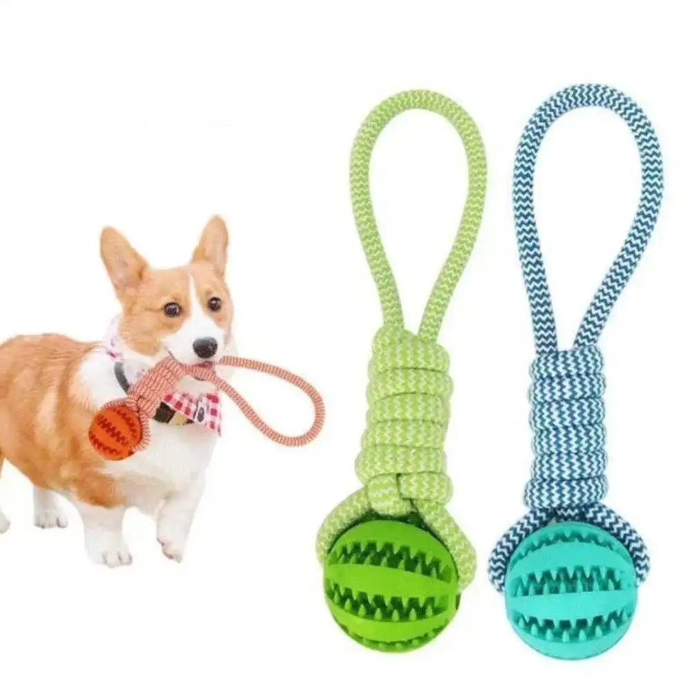 NEW Pet Toy Dog Bite-Resistant Cotton Rope Hand-Held Treat Ball for Teeth Cleaning and Training, Interactive Educational Ball