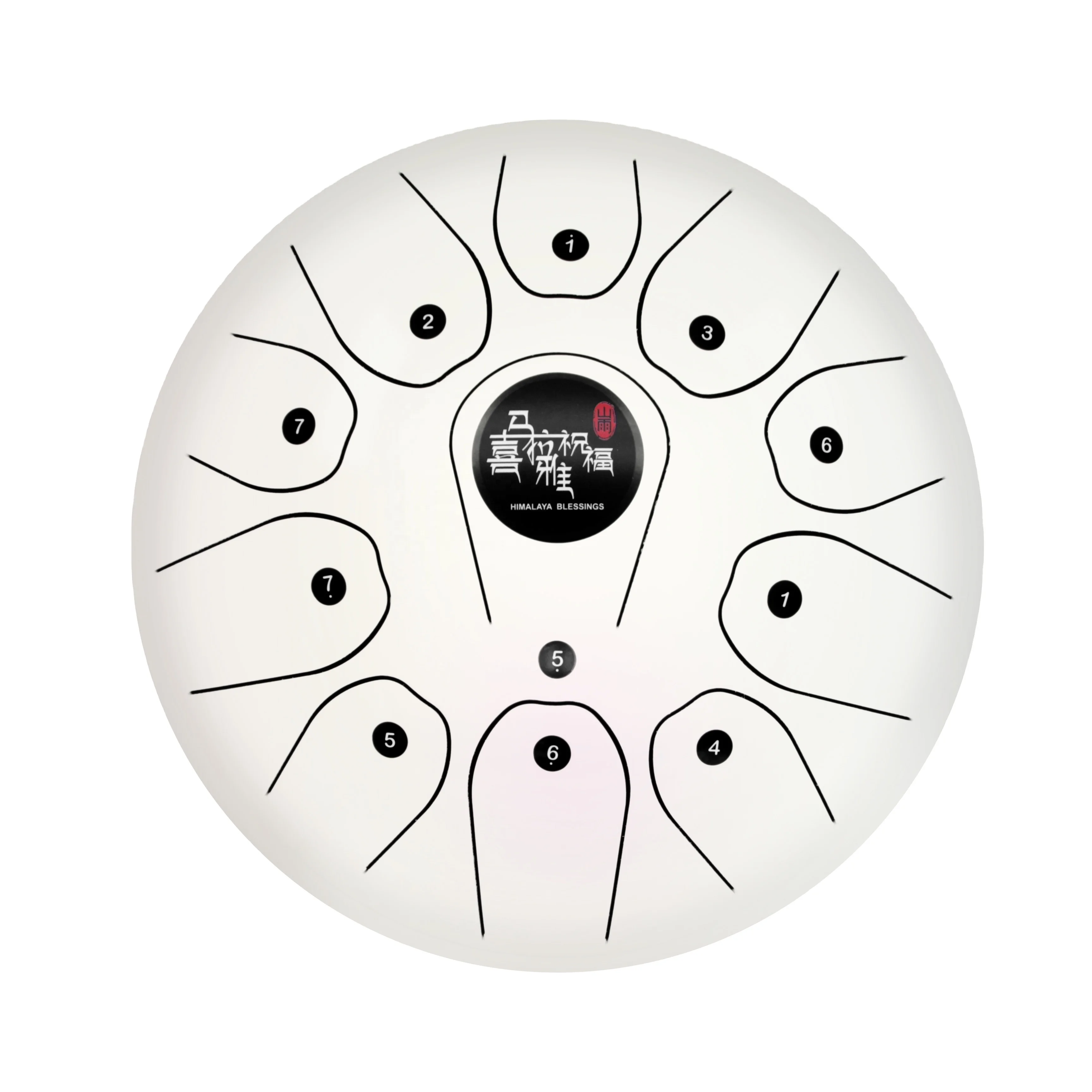 

10" Steel Tongue Drum Pentatonic Musical Scale Handpan with Free case and Mallets