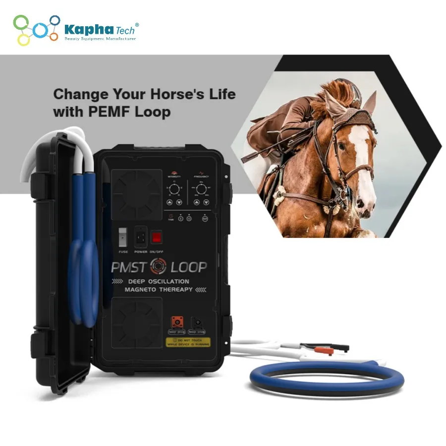 

Equine PEMF Pulsed Electromagnetic Field Therapy PMST LOOP for Horses Health