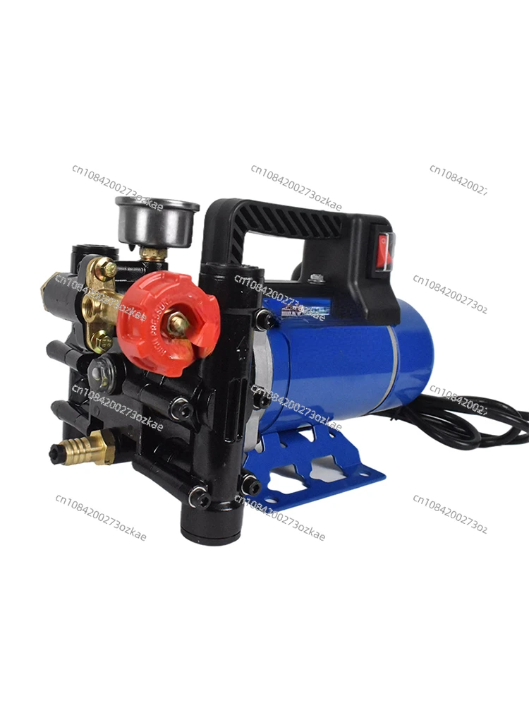 

Agricultural High Pressure Double Cylinder Plunger Spray Insecticide Machine Pump Longmai Portable 12v24v48v60v220v Fruit Tree