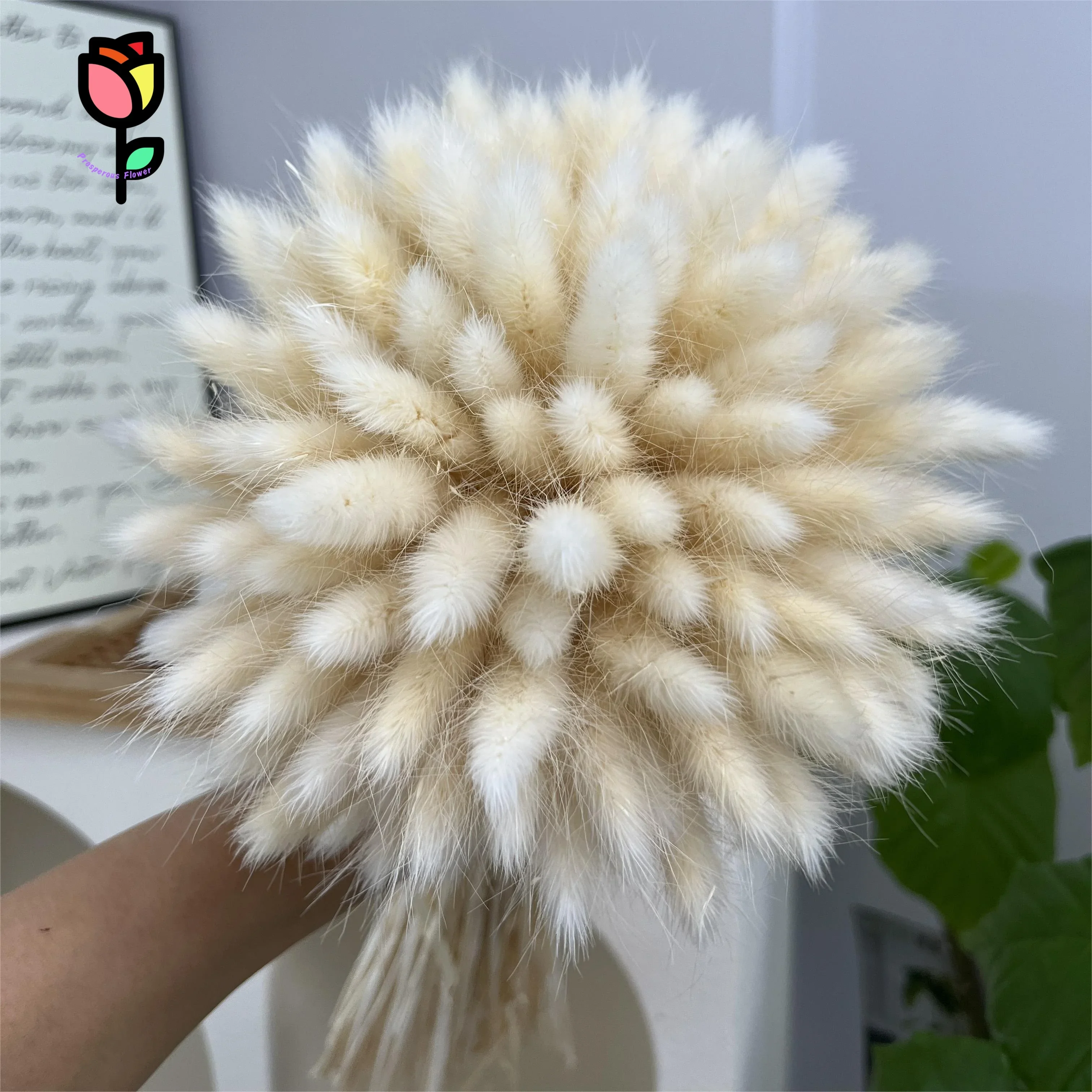 

Dried Flowers Rabbit Bunny Tail Grass Natural Bouquet Boho Home Decor Artificial Flower Lagurus Ovatus Wedding Party Decoration