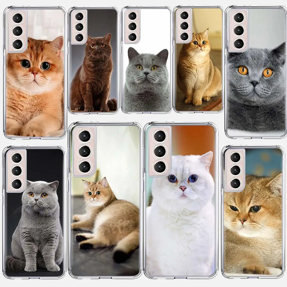 British Shorthair Cat Gold Soft Silicone Phone Case For Samsung Galaxy S24 S23 S22 Ultra S21 S20 FE S10 Plus S10E S9 S8 + Cover