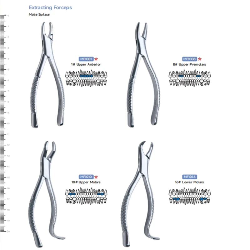 

New Arrival High-Quality Adult Dental Extraction Forceps Suppliers