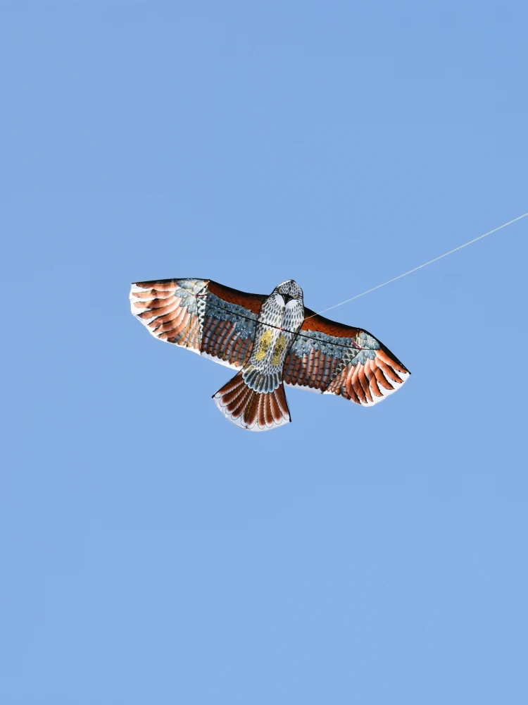 Weifang 3,6 meter Golden Eagle Kite Gemakkelijk te vliegen Lichtgewicht Groot formaat High End Beginner Volwassen Professionele Kite Flng Sport