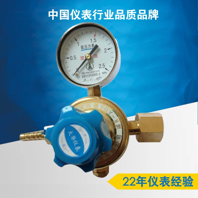 YQY-9 Oxygen Pressure Reducer All Copper YQD-9 Nitrogen Air Hydrogen Carbon Dioxide Pressure Gauge Tools