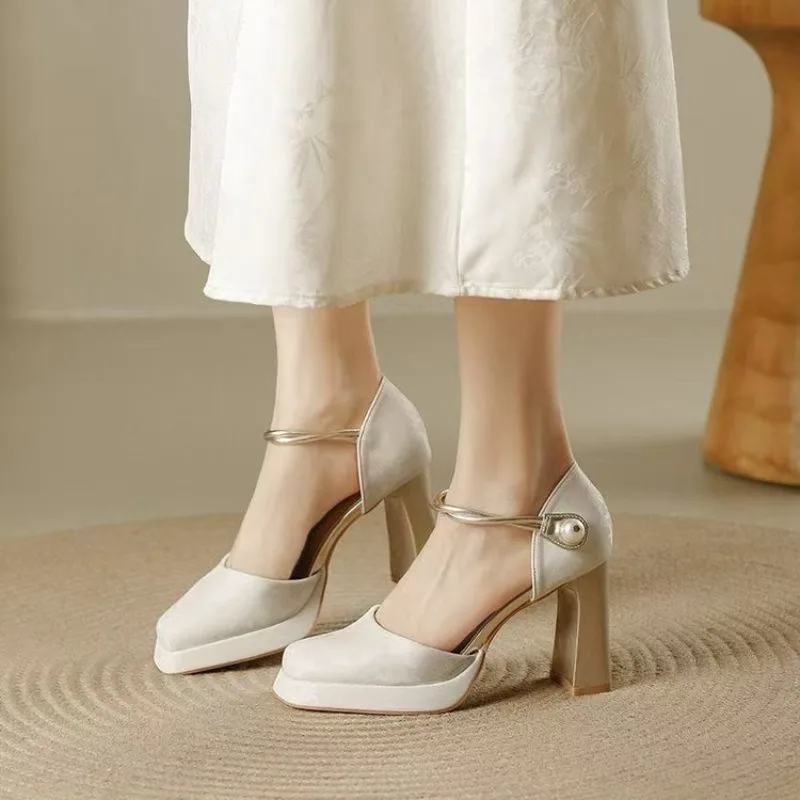 Pumps Pointed Tip Women's High Heels Heeled Sandals Woman Shoes for Woman 2026 Trend