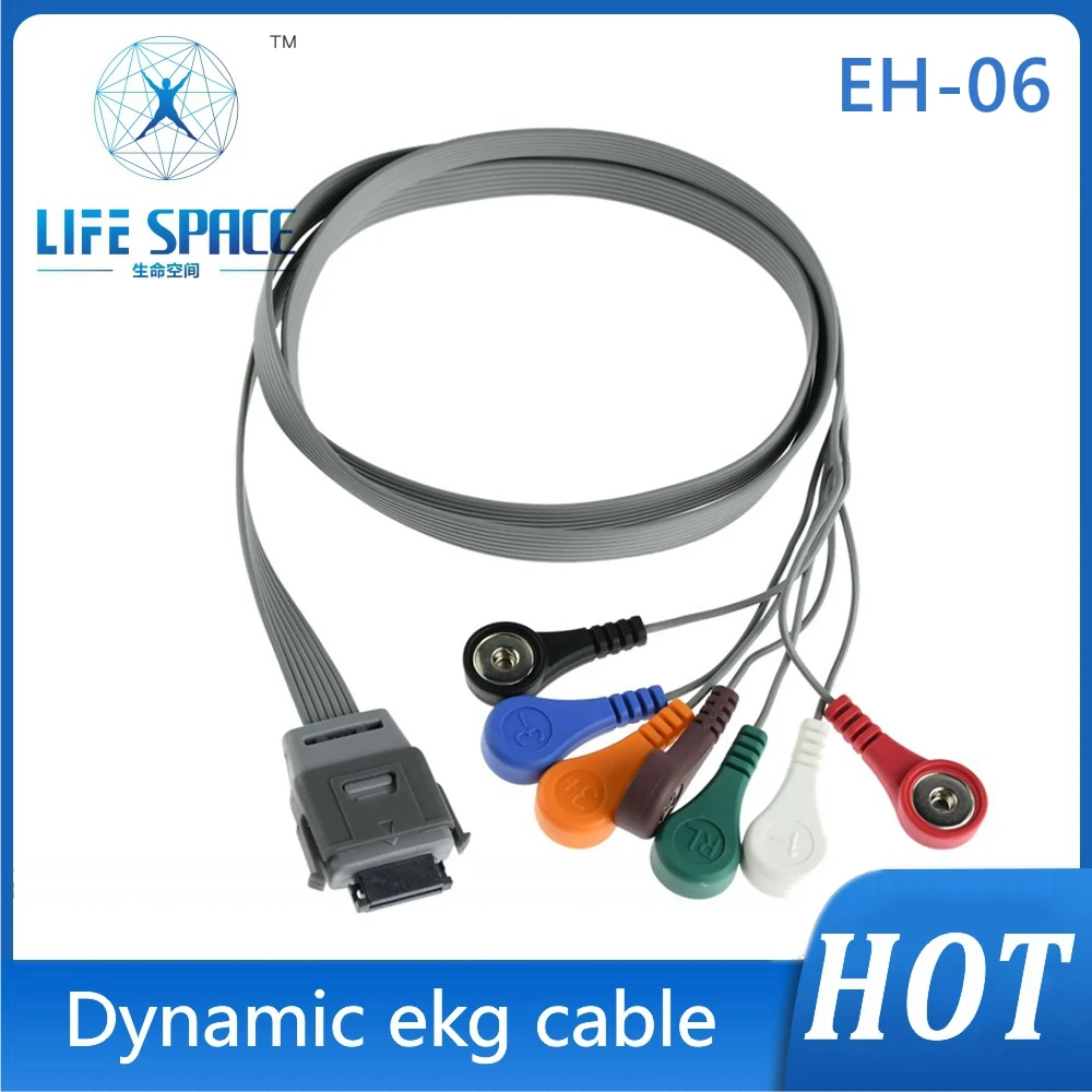 

Holter Cable ECG EKG Cable leads bi-biomedical 7 Leads Channel ECG Holter Monitoring Recorder System only Cable