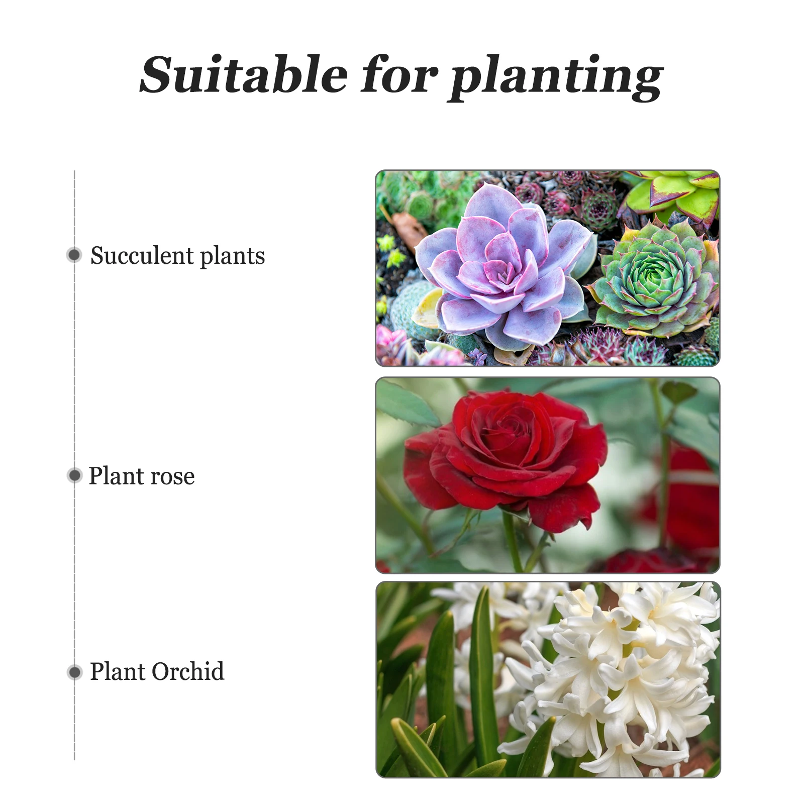 

8 Sets Root Control Pots 150 Model with Trays Thickened Plant Nursery Containers Gardening Flower Pot Suitable