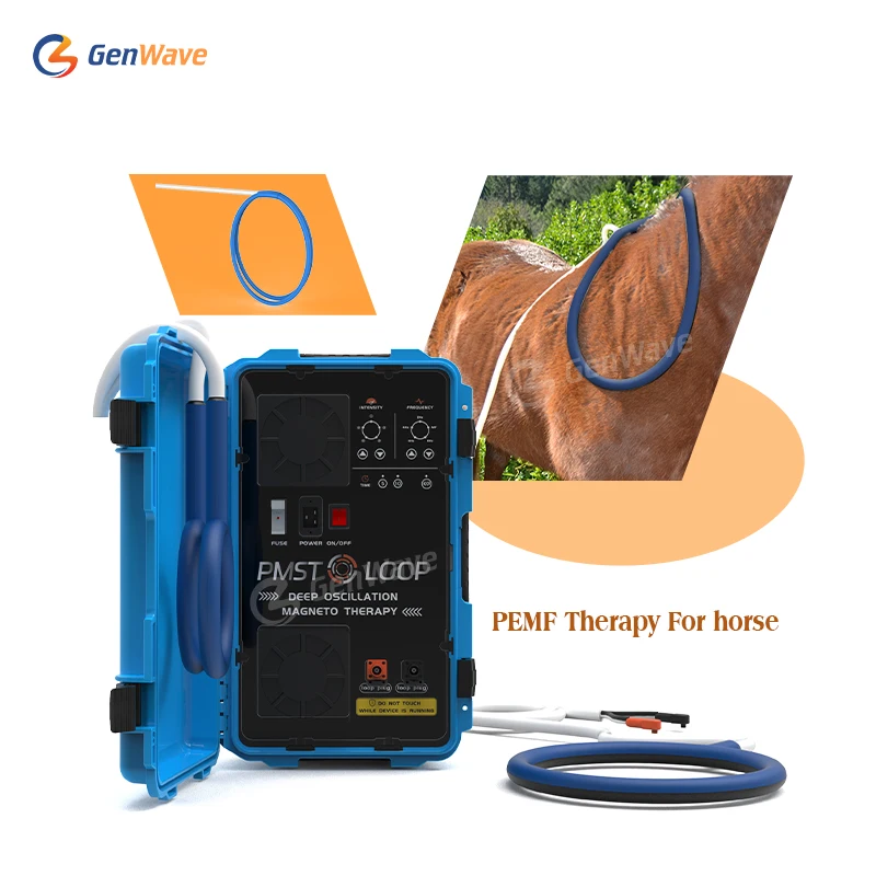 

Equine PEMF Therapy PMST Physio Magneto Super Transduction Loop with X Wing For Horses Injury Treatment