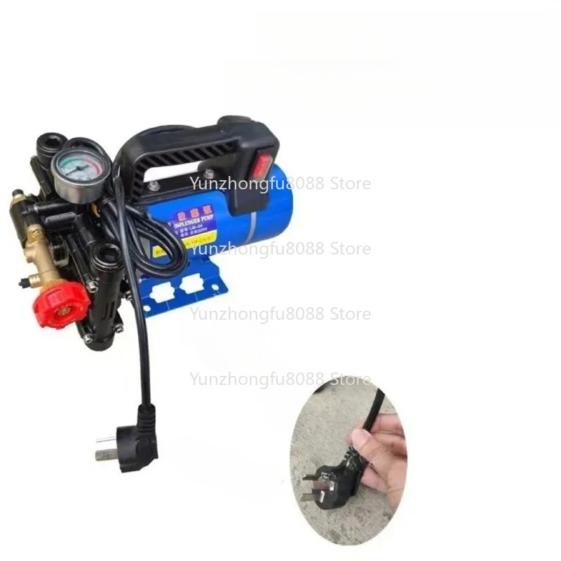 

High Pressure Agricultural Sprayer Pump Double Cylinder Water Spraying Car Wash Irrigation Plunger Pump 12V/24V/48V/60V/72V/220