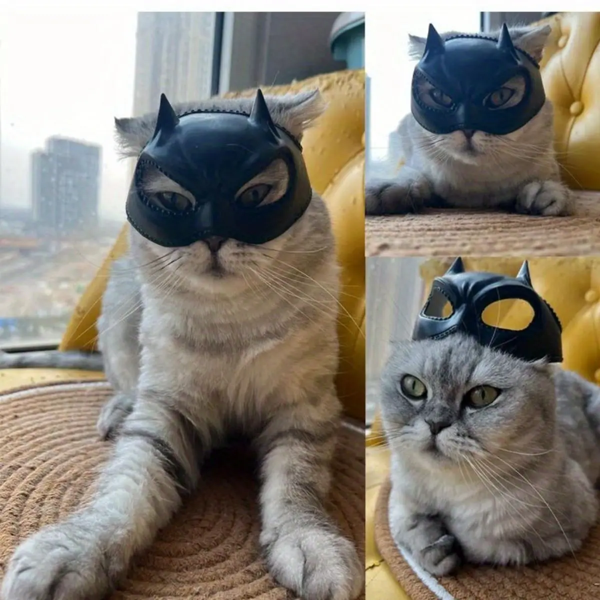 قناع الخفافيش للقطط، غطاء رأس للعب الأدوار، مادة اللاتكس، إكسسوار أزياء للحيوانات الأليفة الناعمة والشكل، قطة غريبة الأطوار ورائعة #3