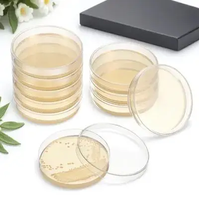 

20 Pcs Nutrient Agar Plate Small Size Plates Petri Lab Dish Mycology Supplies Science Party Premium Material Simple to Carry