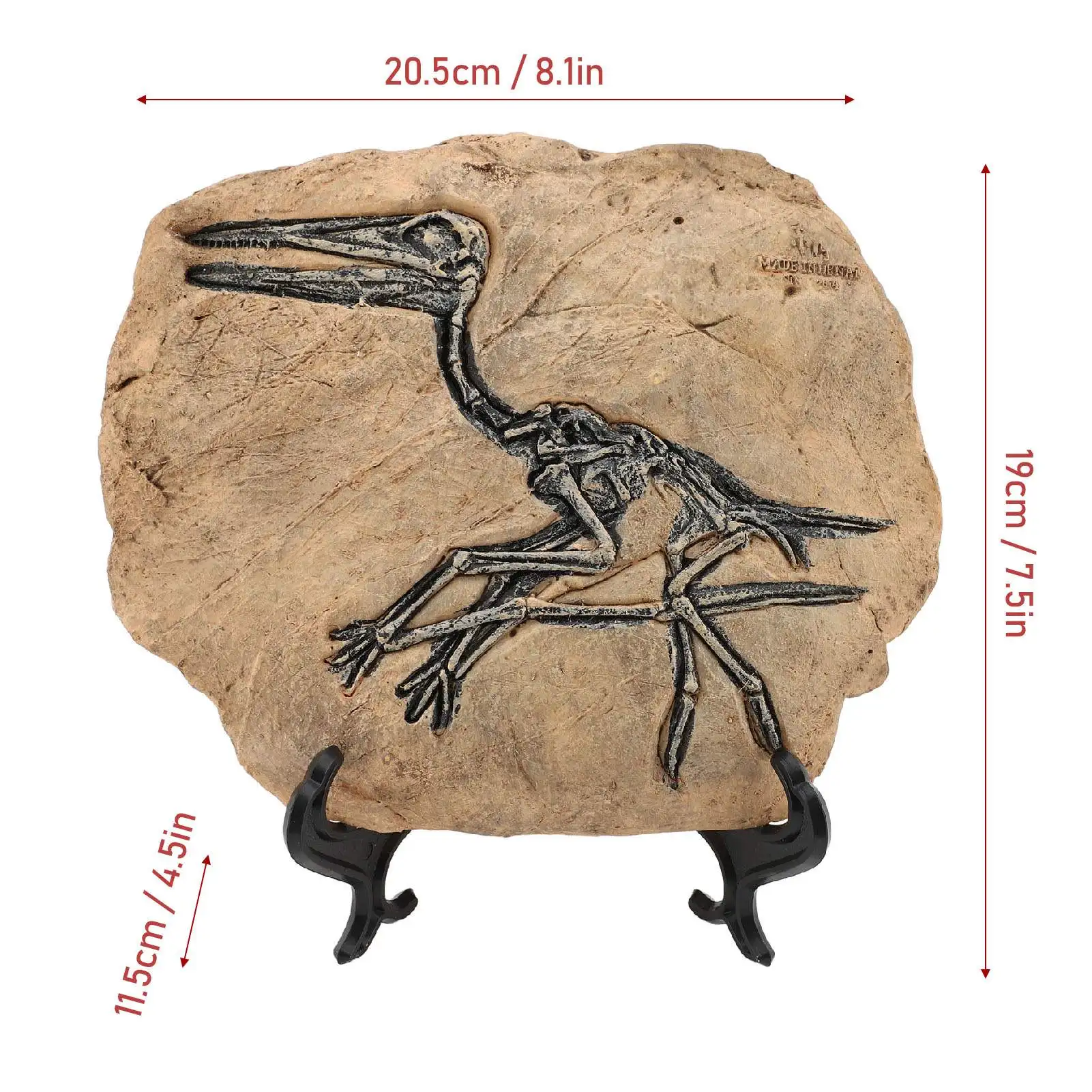 Dinosaur Skeleton Fossil Figure Resin High Simulation Dinosaur Fossil Model Statue for Study Office