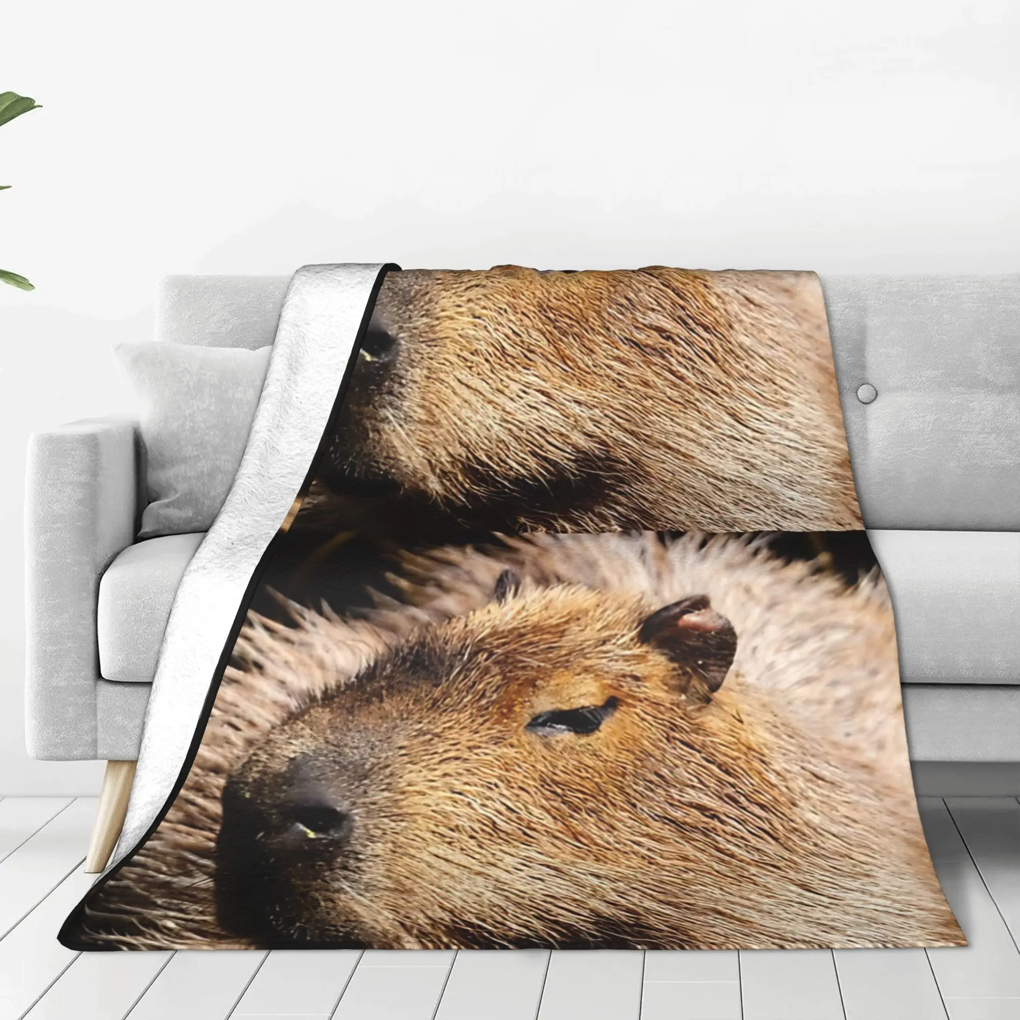 1PC Home Cutecore Capybara profile Capybara Blanket Super Cosy Plush Home Living Room Sofa Halloween