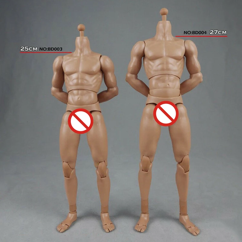 

COOMODEL 1/6 Standard Muscle Male Soldier Body BD001 BD002 BD003 BD004 25/27CM Military Action Figure Doll