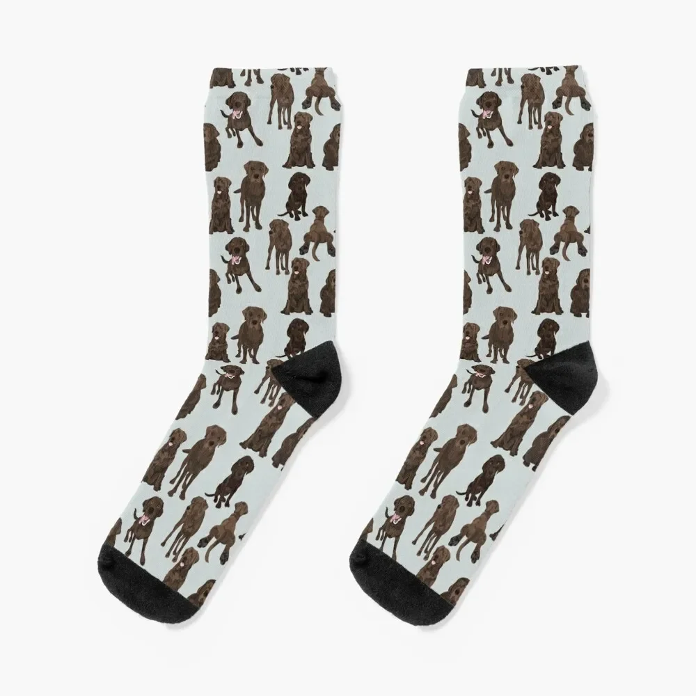 Chocolate Labrador Socks hip hop ankle Socks Woman Men's