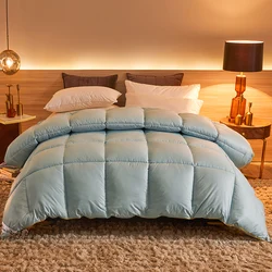 95% Goose Down Duvet Comforter Quilted Perfect Comfort Double Single Size Winter Thick Blanket Solid Color Bedclothes Duvet