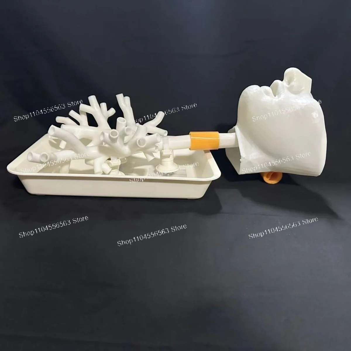 1:1 Bronchoscopy Training Model with Resin Bronchial Tree for Flexible Endoscopy Practice in Medical Education