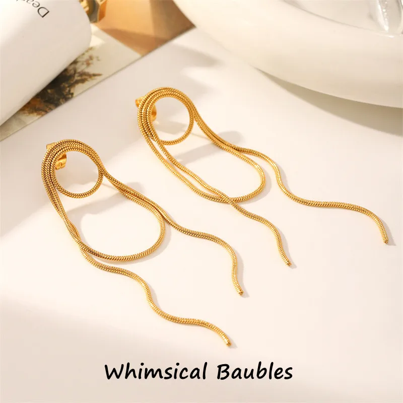 

Stainless Steel Long Tassel Earrings Luxury High-end Earrings Trendy and Exquisite Versatile Earrings