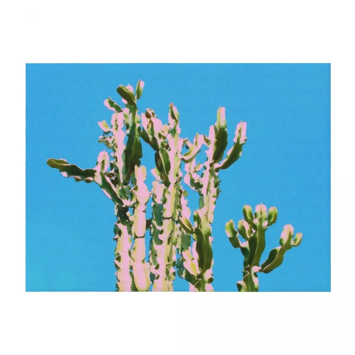 

Cactus Beauty #cactus #redbubble #decor #buyart Throw Blanket For Decorative Sofa Luxury Throw Plush Blankets