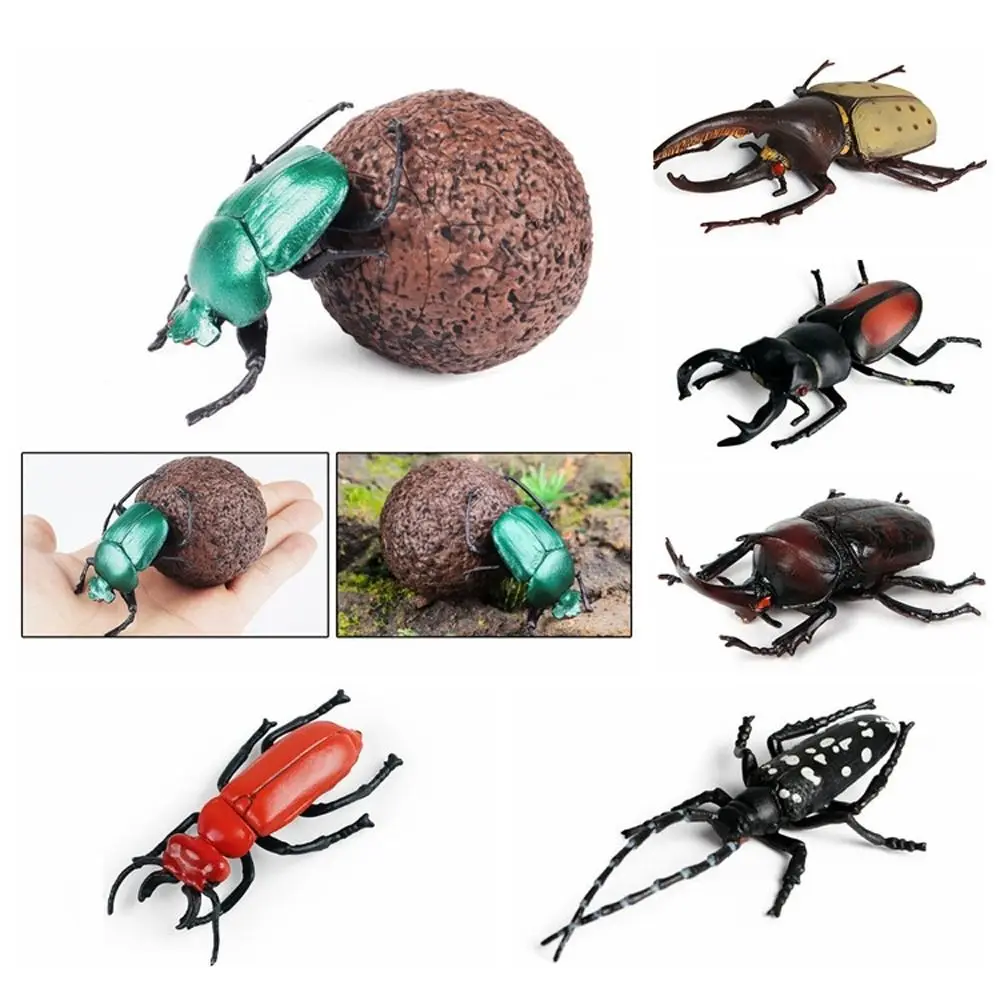 Realistic Insect Animals Model Longhornedbee Wild Insect Beetle Action Figures Science Education Lifelike Insect Figurines