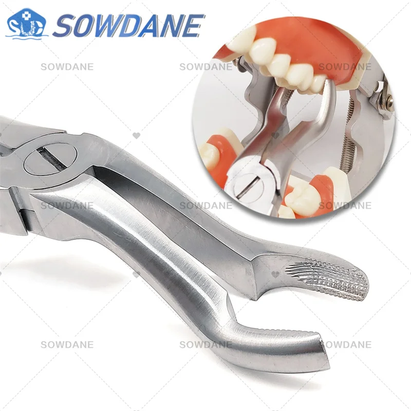 歯科用抜歯プライヤー,成人用鉗子,歯科手術器具,高品質 - AliExpress 66