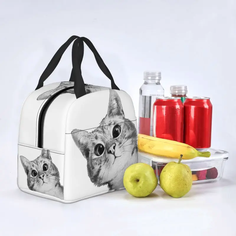 Custom Funny Cat Lunch Bag Men Women Cooler Warm Insulated Lunch Container Box for Kids School Work Food Picnic Tote Bags